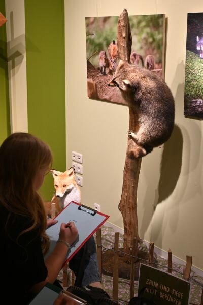 Museum für Naturkunde zeigt "Portraits unserer Nachbarn"