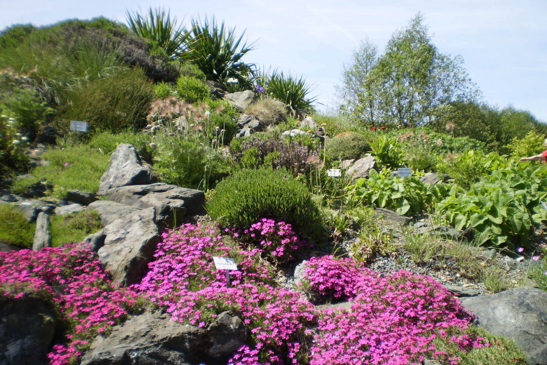 Botanischer Garten Adorf: 25 Jahre kleine botanische Weltreise inmitten des Vogtlands