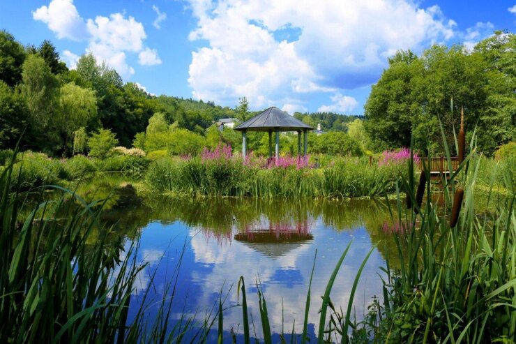 Bild 1 Zwischen 10 und 18 Uhr werden Kräuter- und Naturprodukte von einer Vielzahl von Händlern aus ganz Sachsen im Kurpark und rund um die Kurparkhalle angeboten.